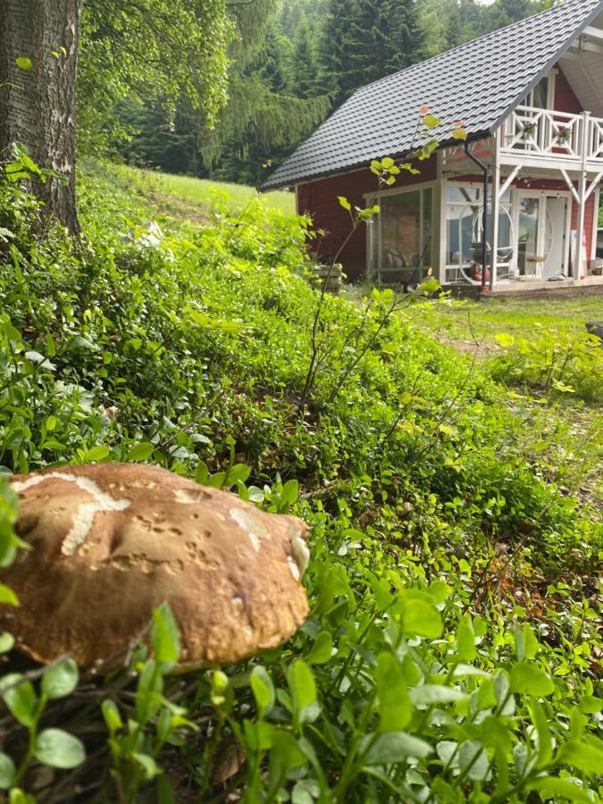 Forest House Targanice Ngoại thất bức ảnh